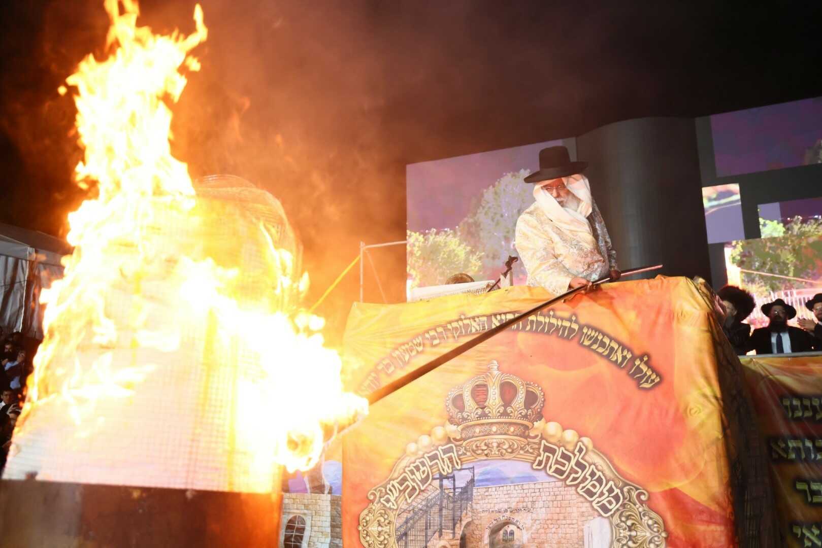 גלריית מירון 20